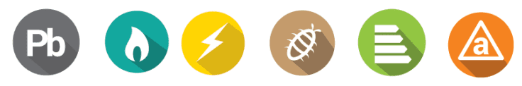 logo dpe